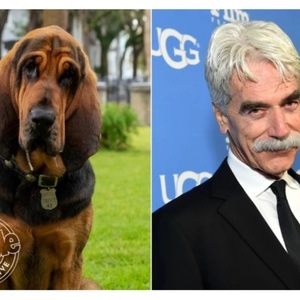 Meet your Posher, hana